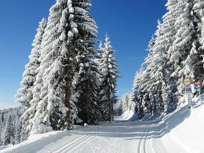 Seegasthof Breineder - Familien&seminarhotel 3*